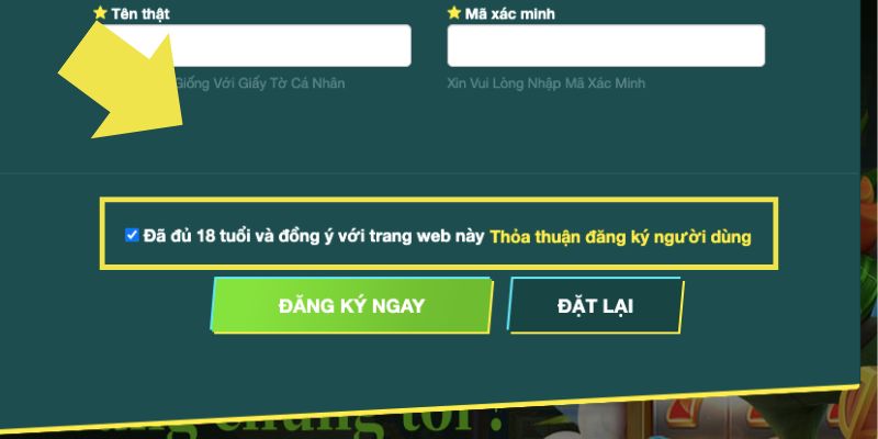 Đăng ký 69VN thất bại do nguyên nhân nào?